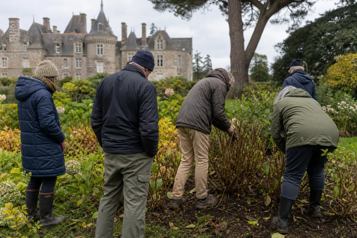 Atelier de jardinage dans le parc d’un château breton, avec taille d’hortensias et échanges autour des plantes