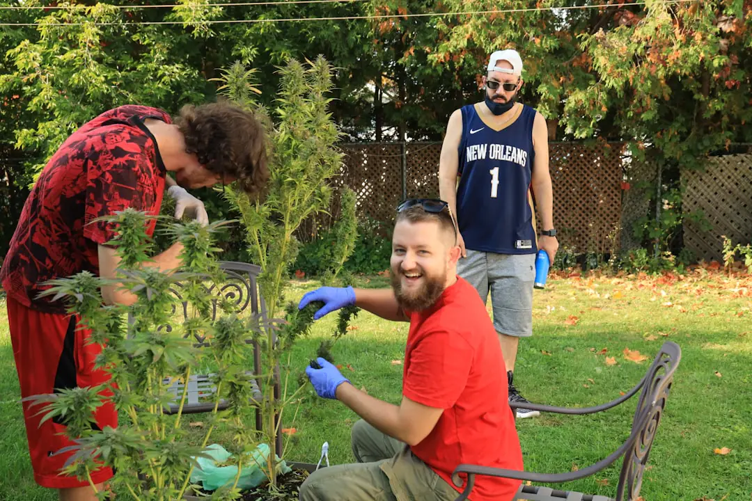Jardiniers observant le sol et posant un paillage autour de jeunes plants lors d’un atelier en pépinière
