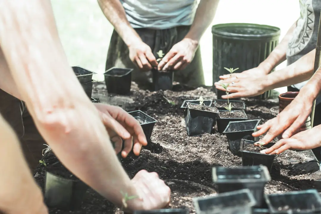 Jardin familial écologique avec potager paillé, fleurs sauvages, récupérateur d’eau et haie diversifiée