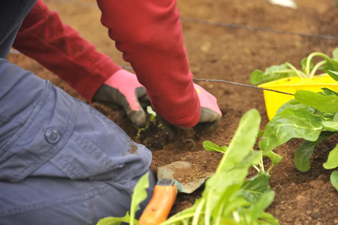 Atelier de jardinage au naturel avec paillage, compost et semis dans un potager familial ensoleillé