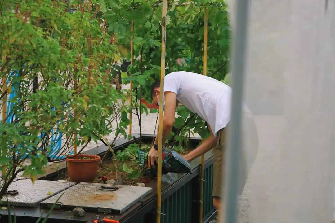 Potager urbain sur balcon français avec tomates cerises, salades et aromatiques dans des bacs ensoleillés
