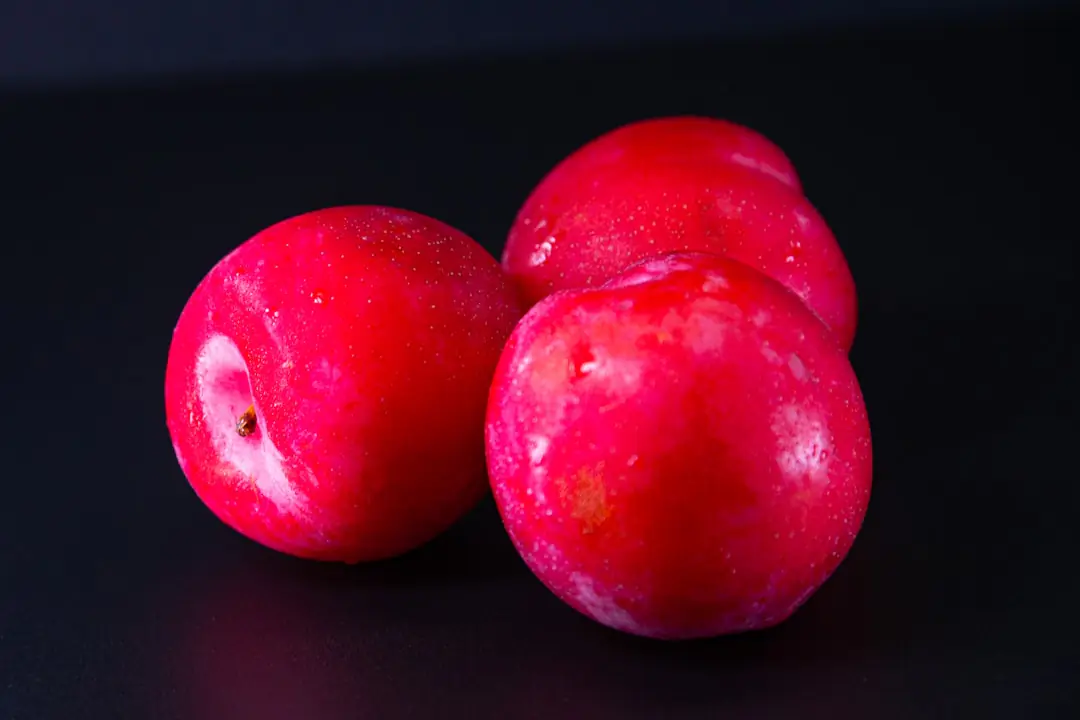 Prunier chargé de prunes jaunes, rouges et violettes dans un verger familial en plein été