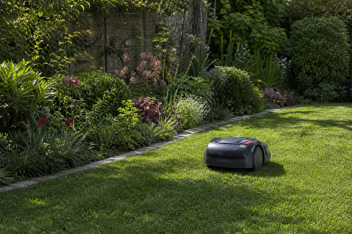 Tondeuse robot compacte en fonctionnement sur une pelouse française bordée de vivaces, par temps sec et lumineux.