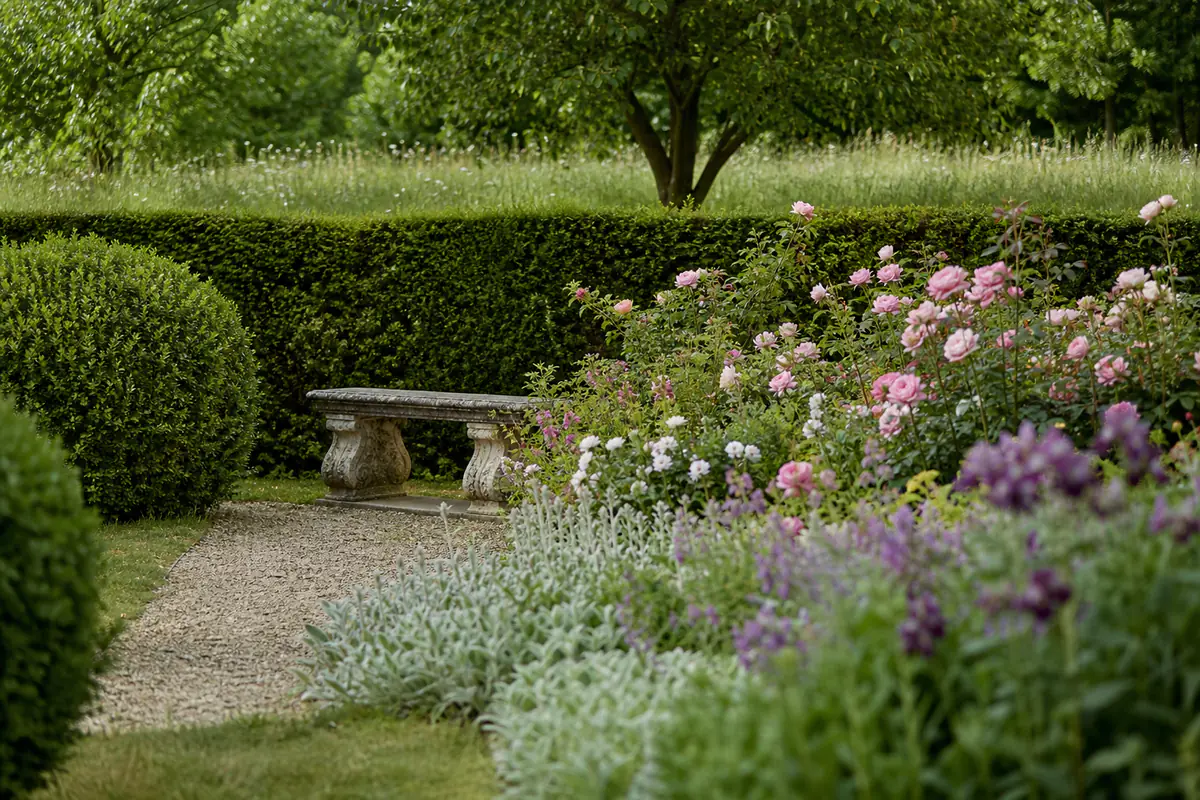 Jardin français d’inspiration royale britannique avec allée, rosiers, vivaces et haies souples au soleil doux