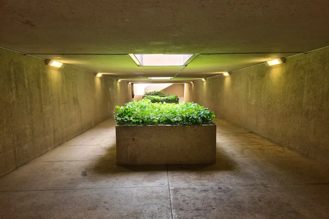 Main de jardinier soulevant une fourche à dents dans un potager paillé, révélant racines et terre grumeleuse