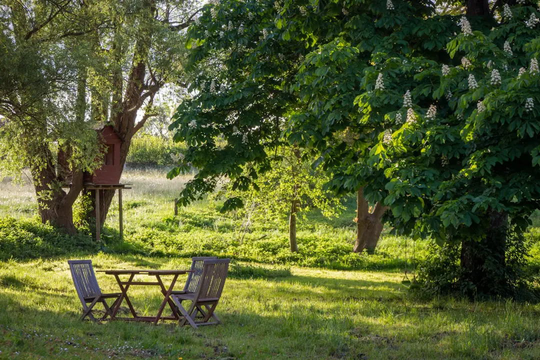 Bénévoles de tous âges paillant et récoltant dans un jardin potager collectif français ensoleillé