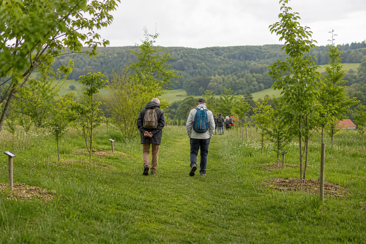 Promeneurs sur un sentier herbeux bordé de jeunes arbres étiquetés dans un arboretum paysager français