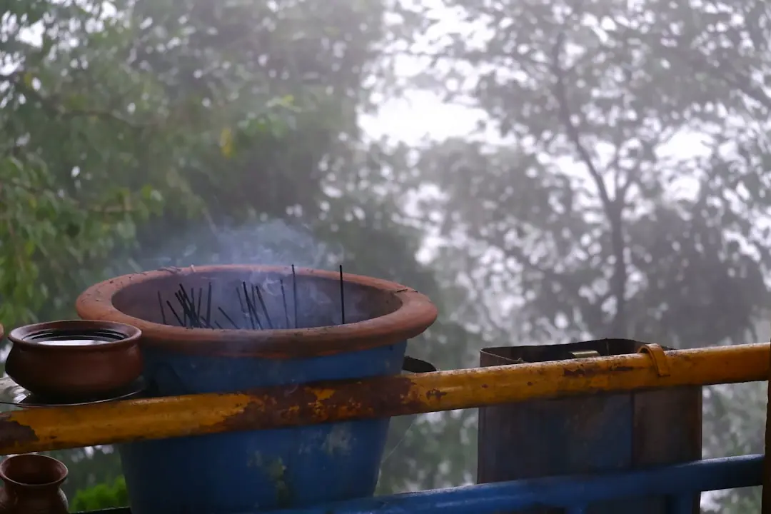 Atelier de jardinage autour d’un récupérateur d’eau de pluie relié à une gouttière dans un jardin familial