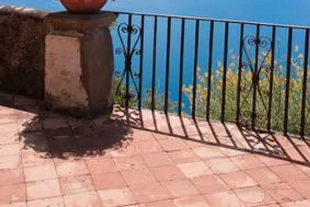 Rosier miniature rose en fleurs dans un pot sur un balcon ensoleillé, avec paillage et arrosoir posé au sol