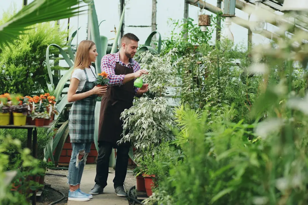 Jardinière consultant un cours sur tablette avant de semer dans un potager familial paillé et ensoleillé