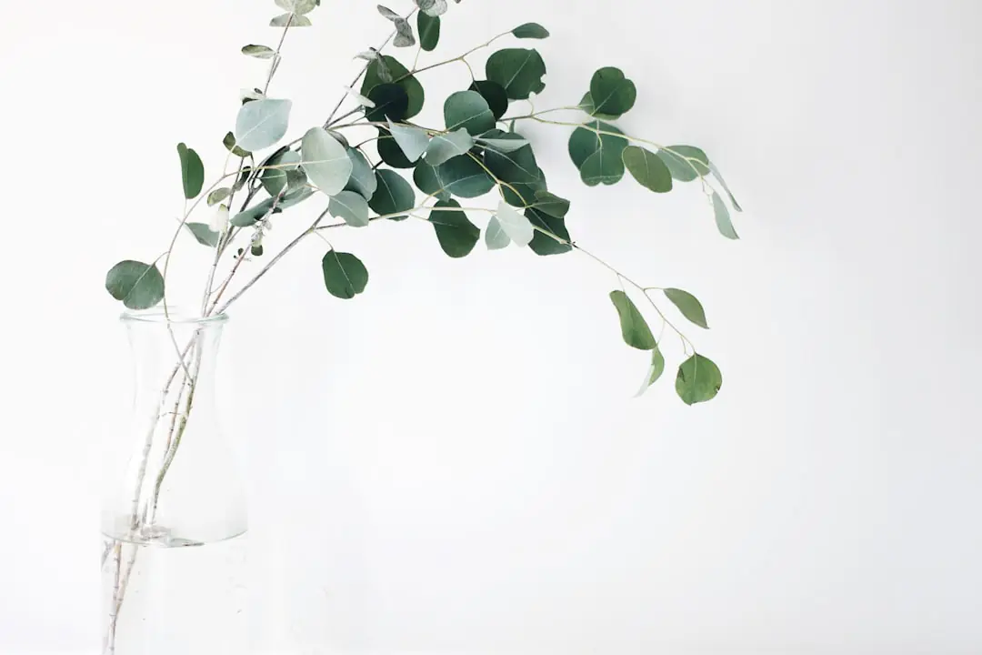 Table de troc aux plantes avec vivaces étiquetées, boutures et jardiniers échangeant des conseils en extérieur