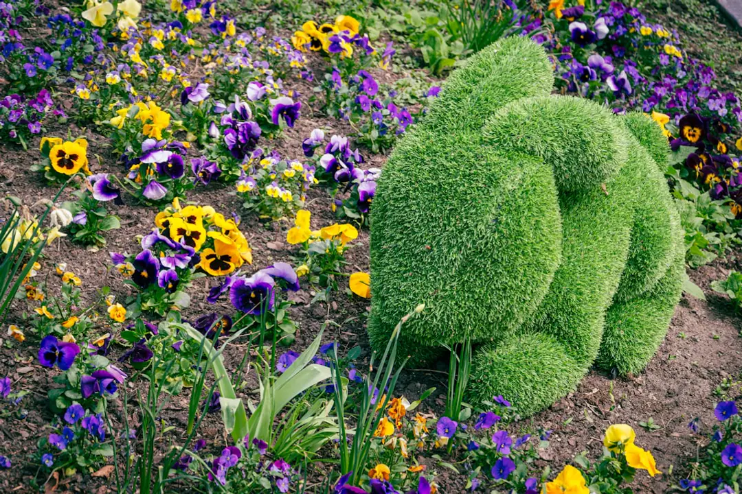 Jardinier préparant un massif de fleurs de printemps avec compost, vivaces et paillage léger