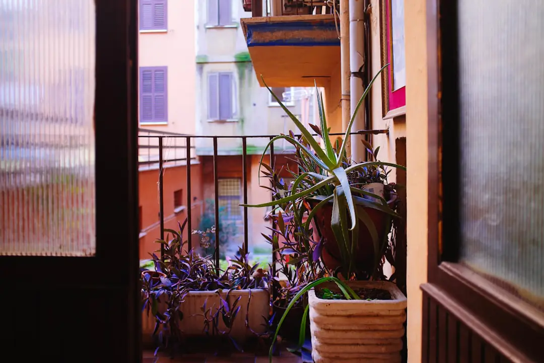 Balcon urbain français aménagé de plantes en pots et d’un tapis extérieur tissé beige sur sol carrelé