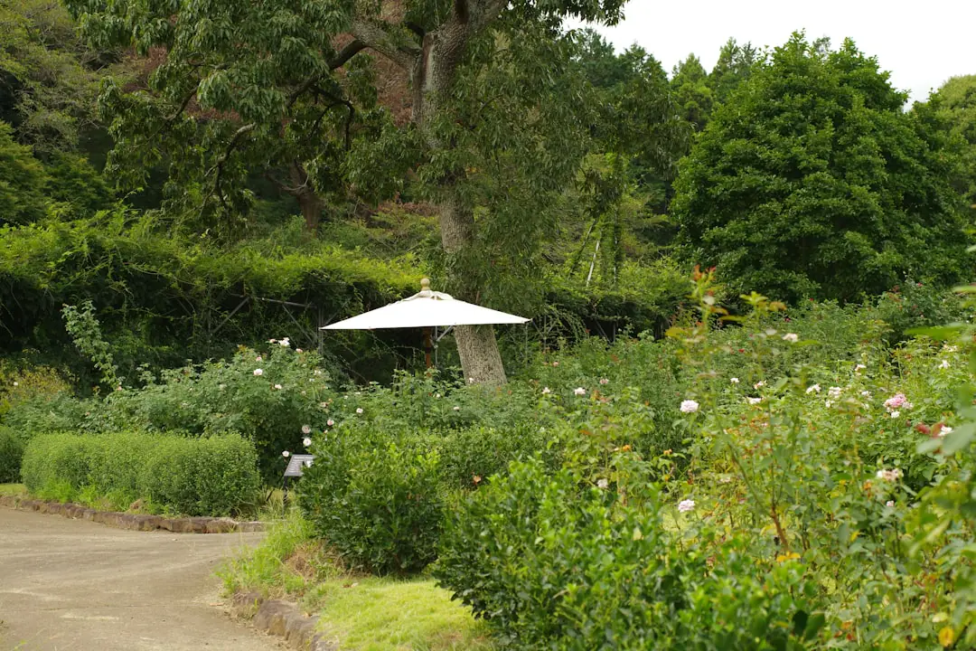 Professionnelle du jardin relisant un devis détaillé près de plantes et d’outils dans un jardin français