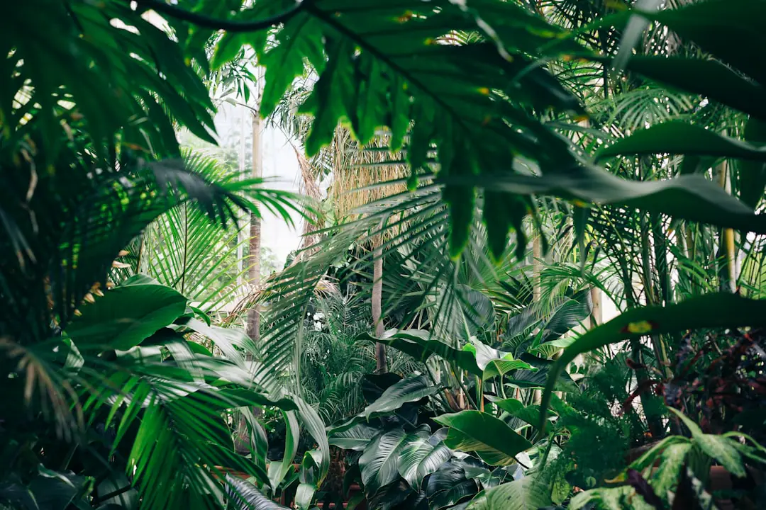 Plante tropicale en pot isolée près d’une fenêtre, valise ouverte au sol et matériel de contrôle posé à côté