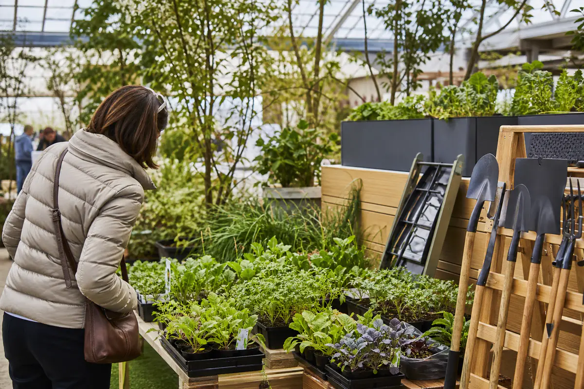 Visiteur comparant des plants potagers et des outils sur un salon de jardinage lumineux et végétalisé