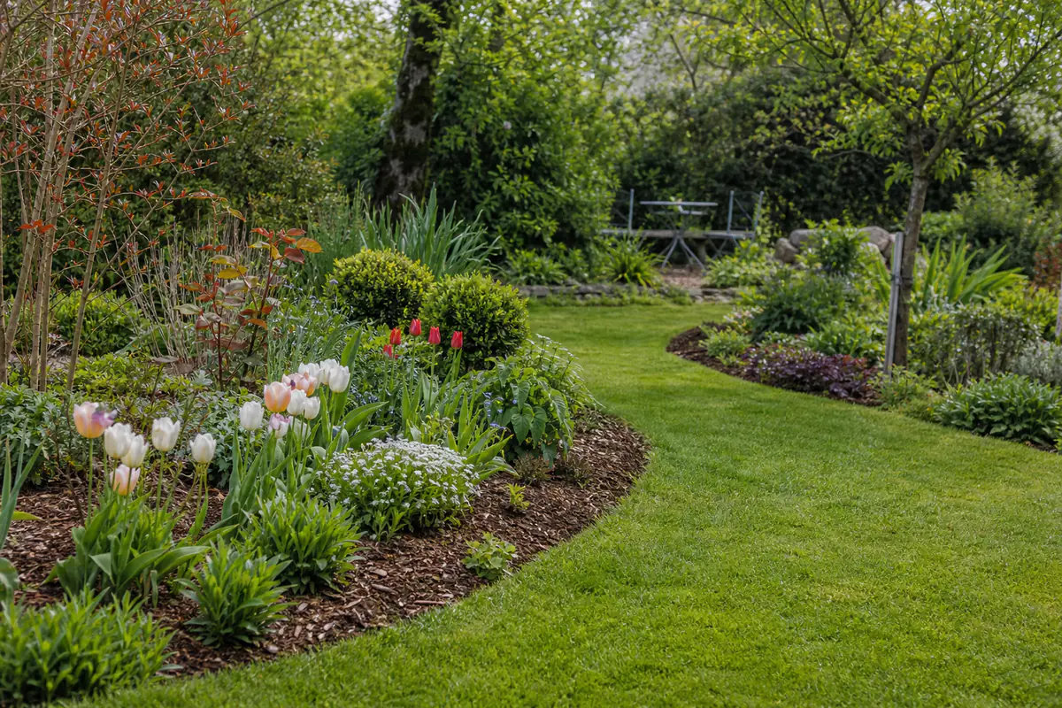 Jardin familial français aux massifs équilibrés, bordures nettes et paillage organique au printemps