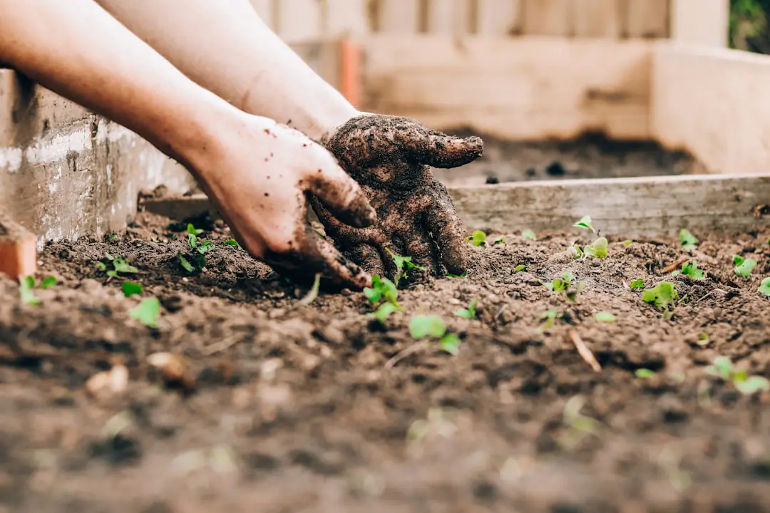 Participants échangeant des conseils devant un potager paillé lors d’une journée portes ouvertes au jardin