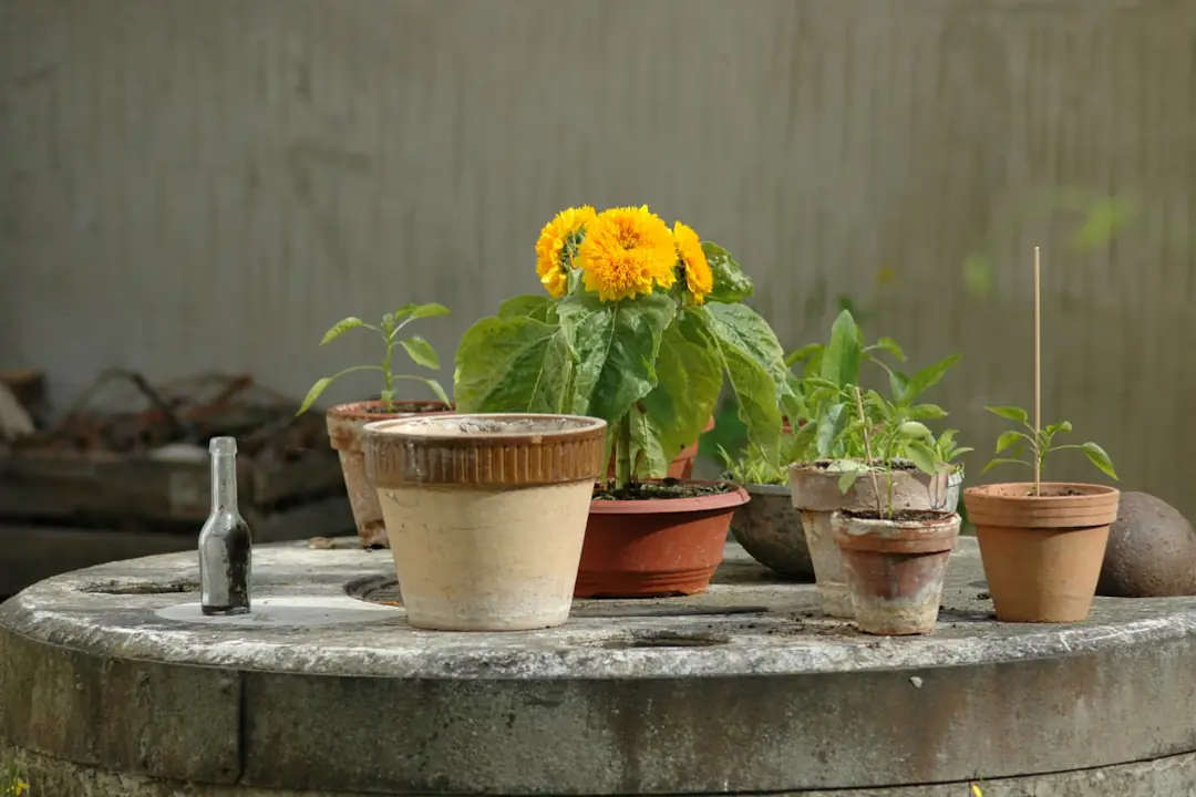 Petit groupe réunissant adultes et enfants autour de bacs potagers lors d’un atelier de jardinage à domicile