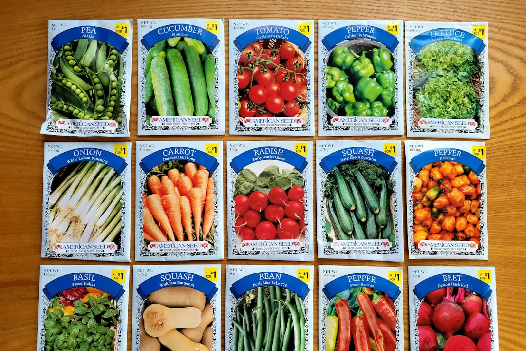 Jardinière comparant des sachets de graines non marqués sur une table lors d’un rendez-vous horticole local.