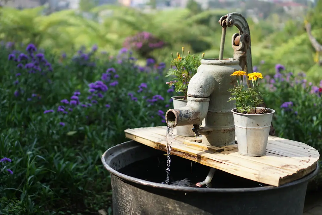 Jardin français économe en eau avec paillage, vivaces fleuries, goutte-à-goutte et récupérateur d’eau de pluie