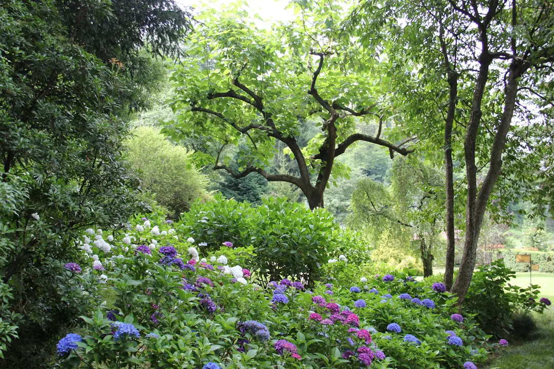 Jardin collectif français avec potagers, cabanes sobres, allées enherbées et jardiniers échangeant près de fruitiers.