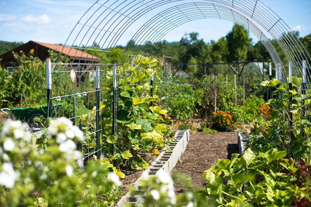 Jardinier notant trois objectifs sur un carnet devant un potager paillé et un récupérateur d’eau discret