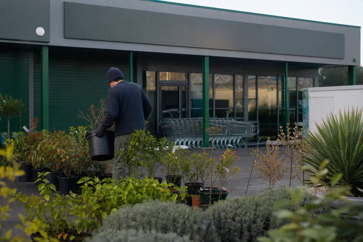 Devanture sans enseigne d’un grand magasin de jardinage fermé, chariots vides et plantes en pots sous une lumière douce