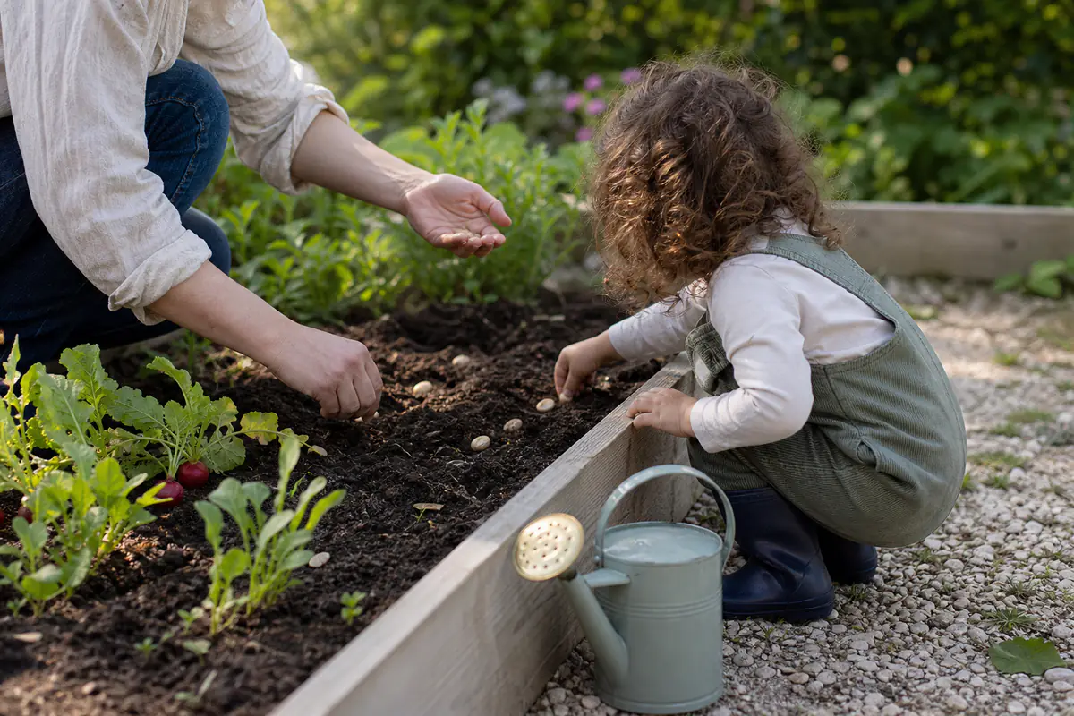 Tout-petit accompagné par un adulte semant de grosses graines dans un bac potager bas et sécurisé.