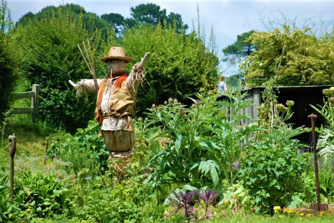 Habitants plantant des vivaces mellifères dans une grande jardinière autorisée au pied d’un immeuble urbain