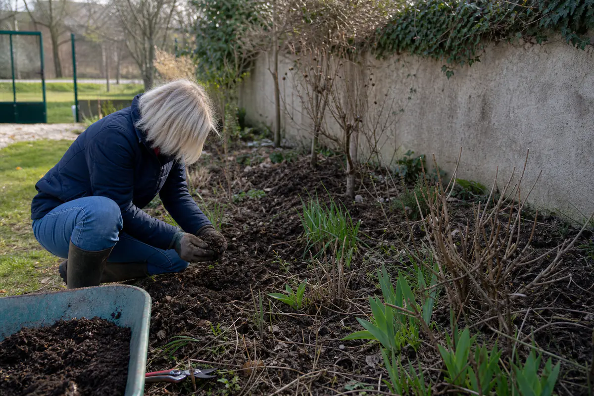 Jardinière examinant un massif paillé et le sol d’un jardin français avant les plantations de saison