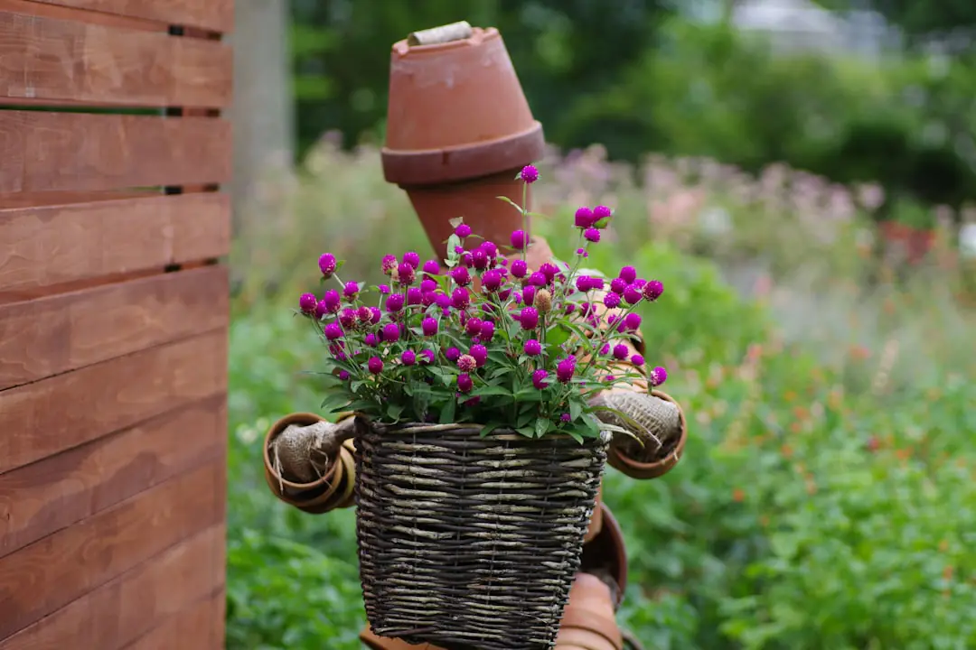 Sélection de cadeaux de jardinage utiles posés sur une table en bois dans un jardin français d’hiver.