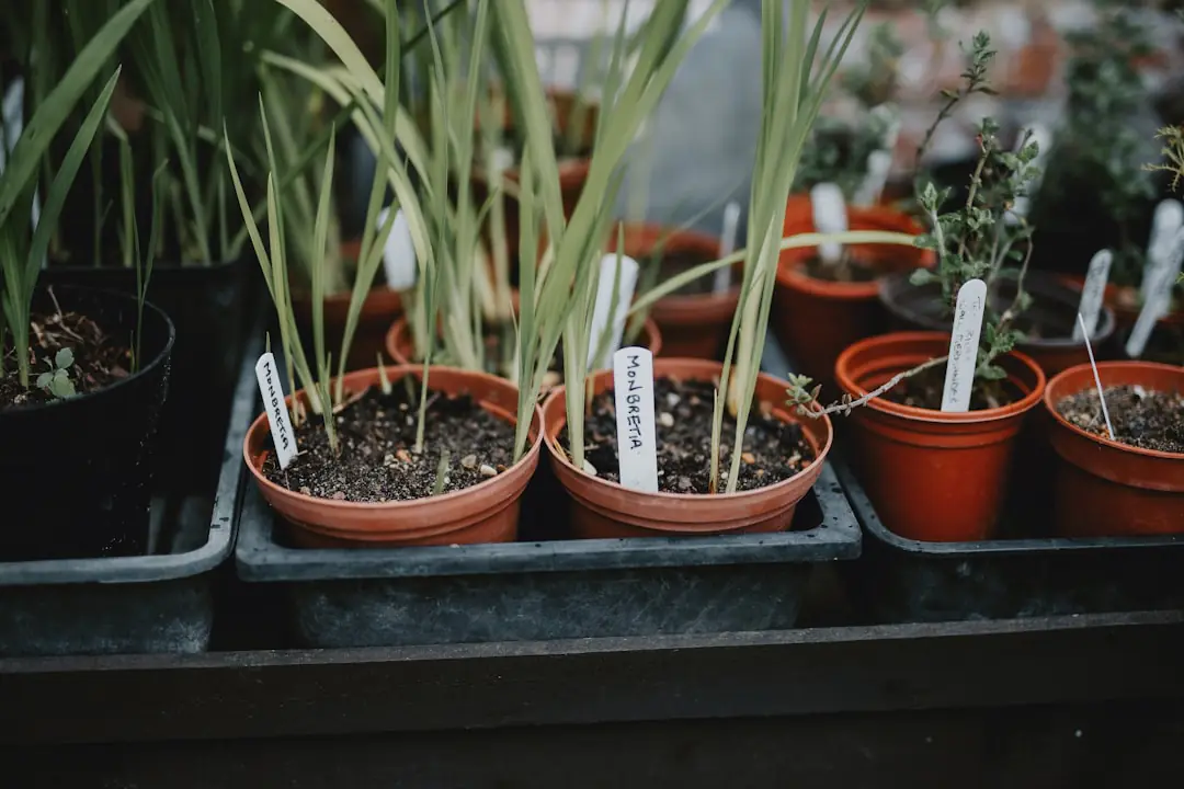 Employés volontaires entretenant un petit jardin de travail avec outils manuels et bacs paillés accessibles