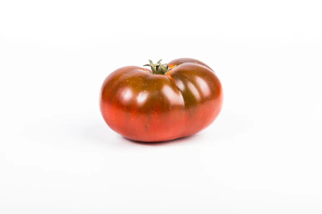 Gros plant de tomate tuteuré portant plusieurs tomates rouges charnues dans un potager français paillé et lumineux.