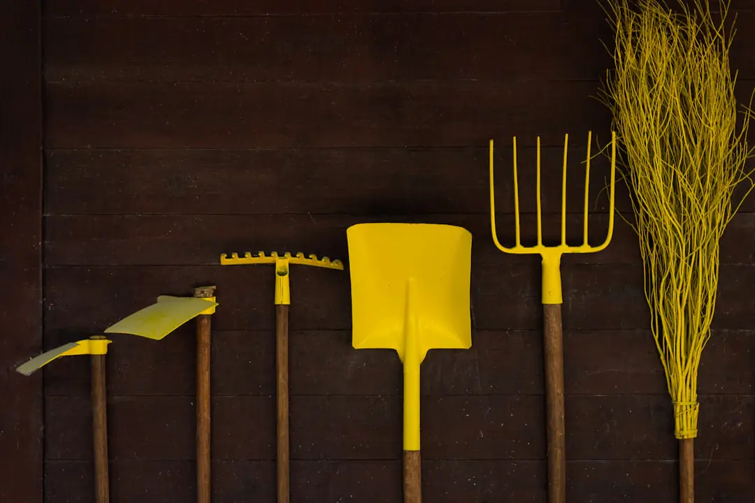Trousse ouverte avec neuf outils de jardinage d’intérieur sur une table près de plantes en pots lumineuses.