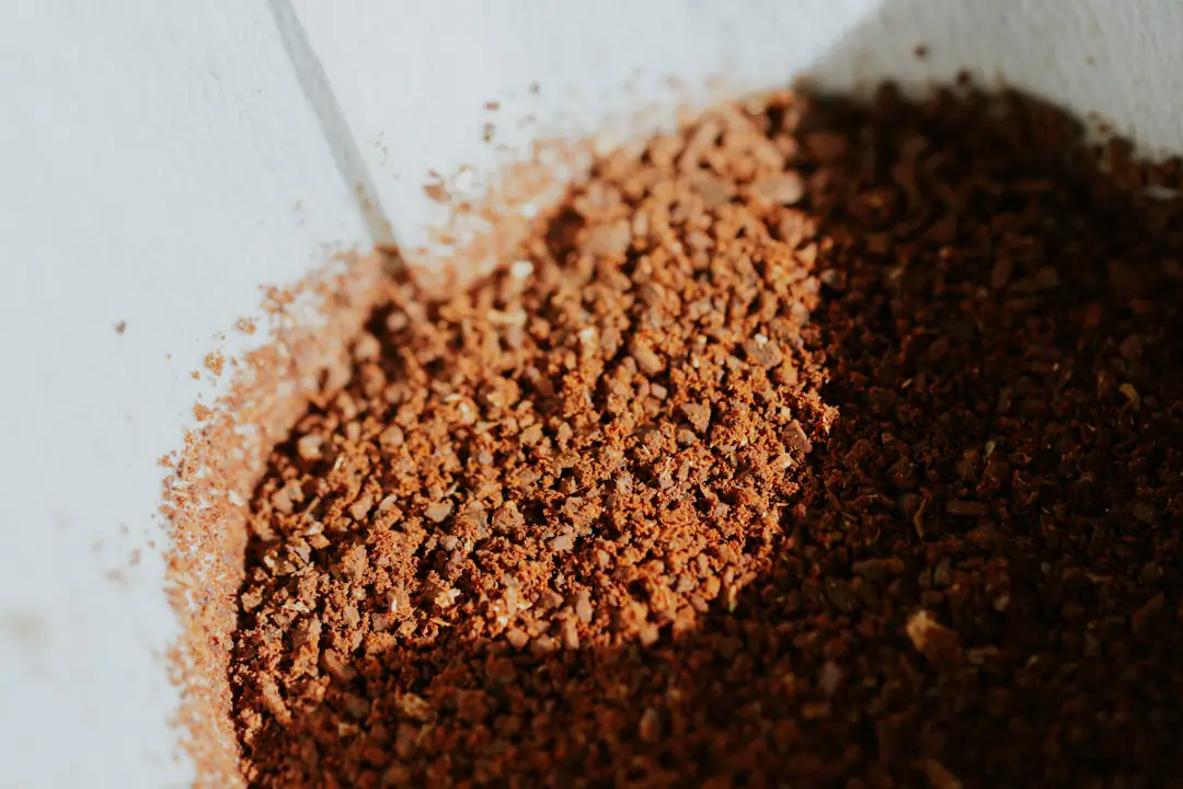 Main de jardinier soulevant une terre meuble au pied d’un rosier après un apport léger de marc de café séché