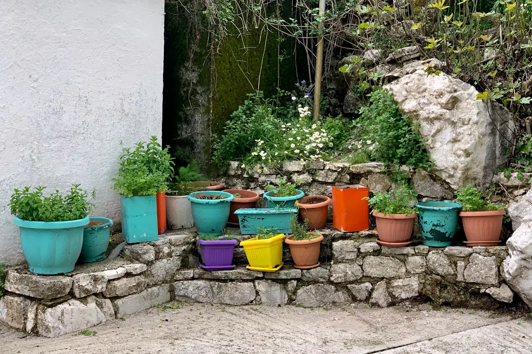 Jardinier en manteau observant un potager paillé et des plantations hivernales dans un jardin français