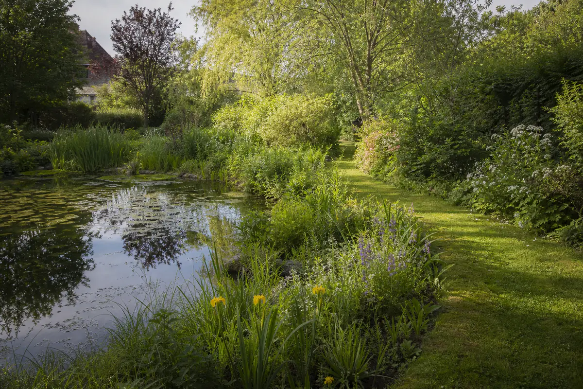 Mare naturelle bordée de fleurs sauvages et d'herbes hautes dans un jardin familial français lumineux