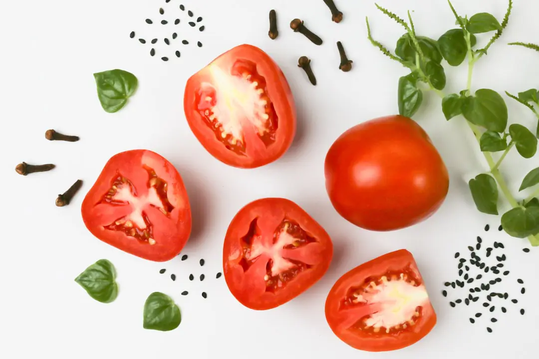 Jeune potager français avec radis, laitues, haricots, courgette et tomates cerises au soleil du matin