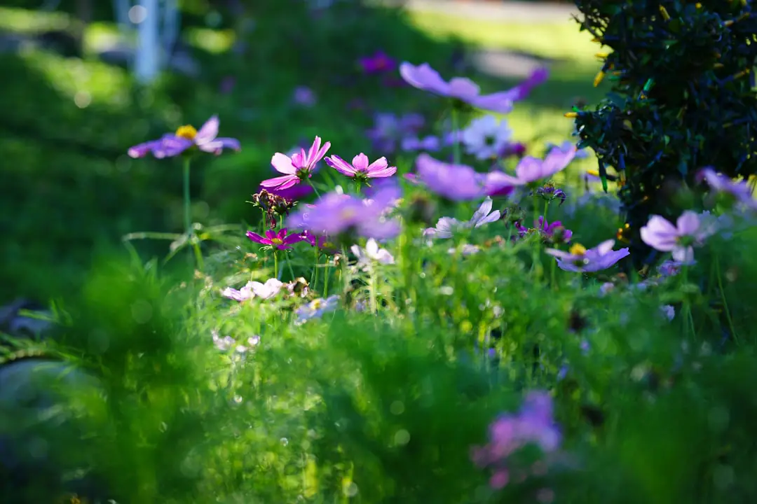 Jardinière observant des plantes paillées et fleuries dans un potager naturel vivant et bien entretenu