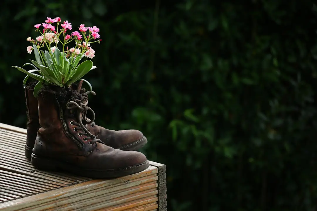 Massif de vivaces fleuries mêlant achillées, géraniums et graminées dans un jardin français ensoleillé