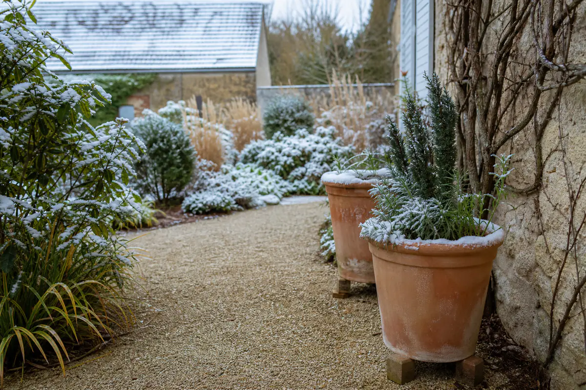 Jardin enneigé en hiver avec arbustes persistants, pots sur cales et allée dégagée sans sel