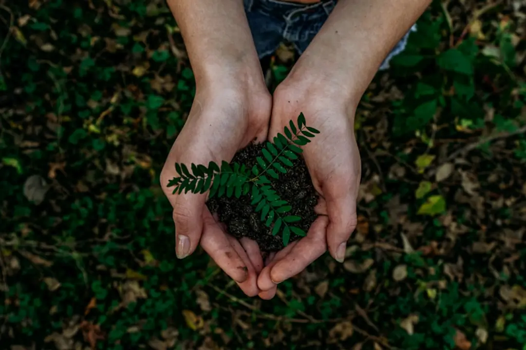 Jardinière comparant plusieurs terreaux devant des plantes vertes et aromatiques cultivées en pots sur un balcon