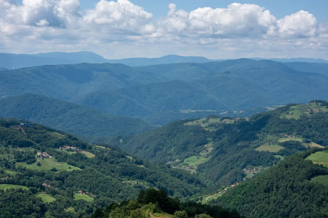 Massif de vivaces tolérantes mêlant achillées, népétas et graminées dans un jardin français lumineux