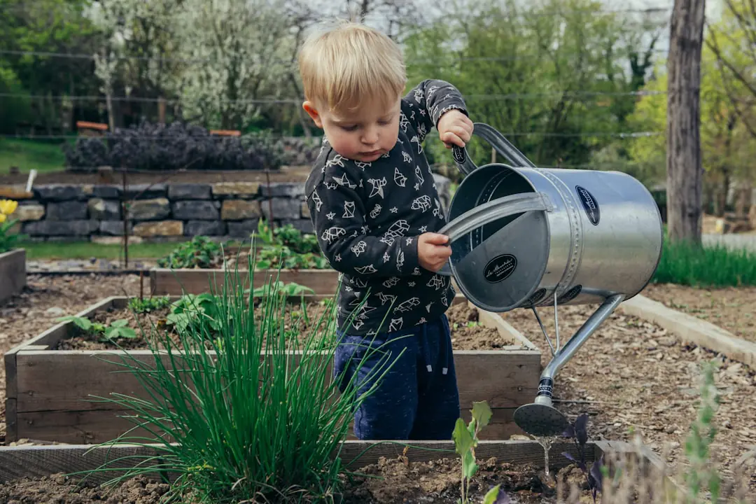 Jardin potager français au début du printemps, planches paillées, outils propres et jeunes semis protégés