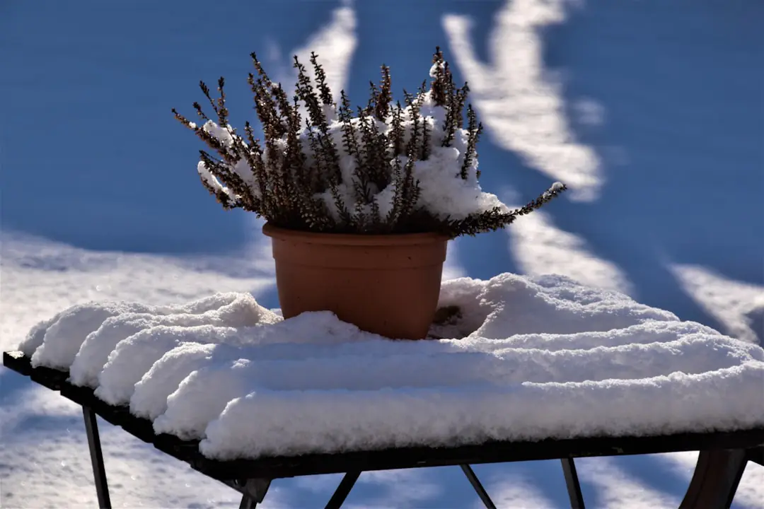 Jardinier ajoutant un paillage de feuilles sur des massifs en hiver dans un jardin français légèrement givré.