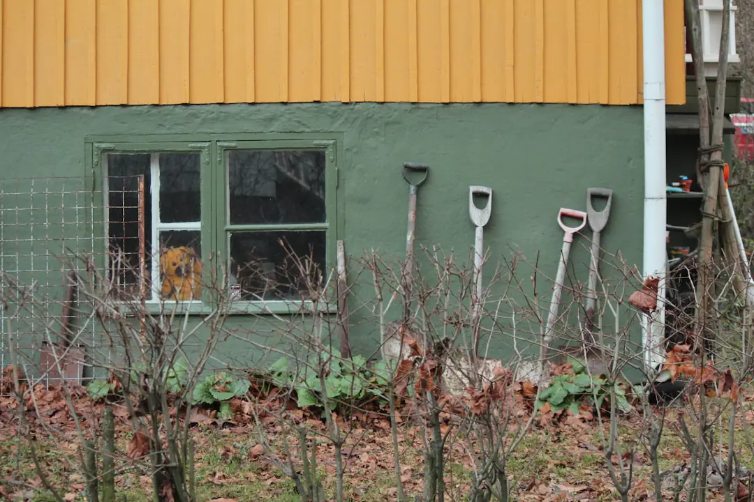 Jardin français en automne avec massifs paillés, feuilles triées et outils préparés avant l’hiver