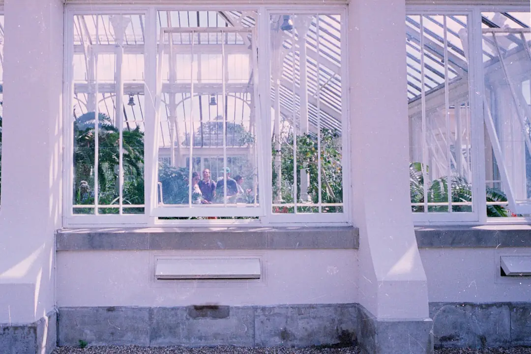 Jardin tropical durable dans un jardin français avec palmiers rustiques, bananier paillé et feuillages luxuriants