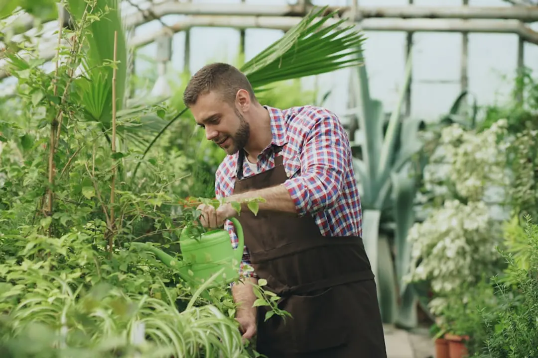 Jardin familial français avec potager paillé, récupérateur d’eau de pluie et floraisons favorables aux insectes