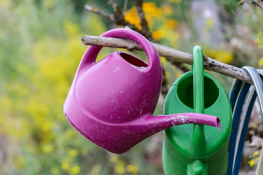 Sélection d’outils de jardinage durables posés sur un établi en bois dans un jardin français en hiver